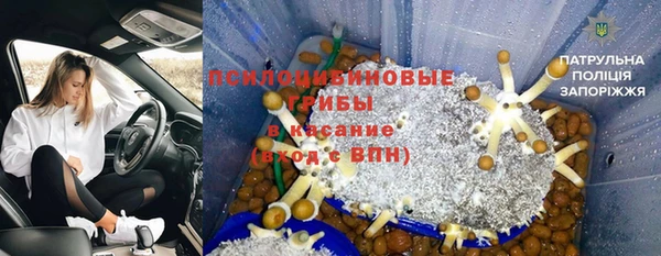 мяу мяу мука Алексин