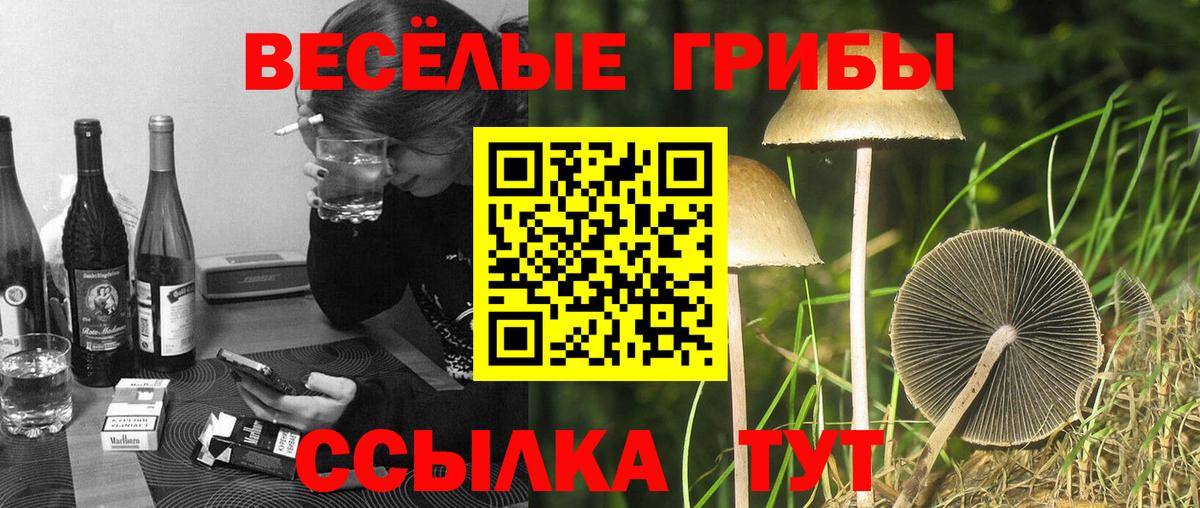Псилоцибиновые грибы ЛСД Первоуральск