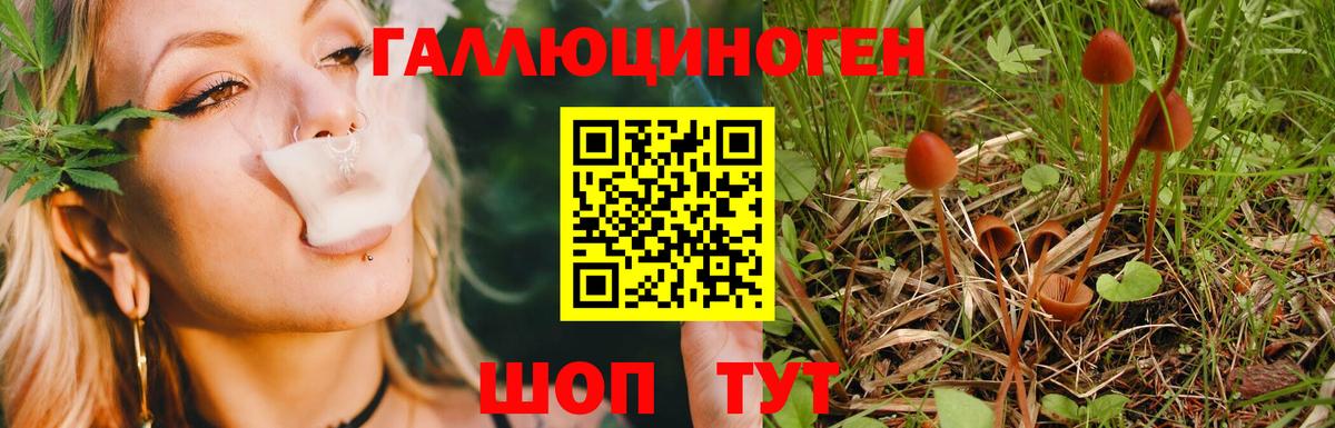 Псилоцибиновые грибы Magic Shrooms  Вход с VPN  Первоуральск 